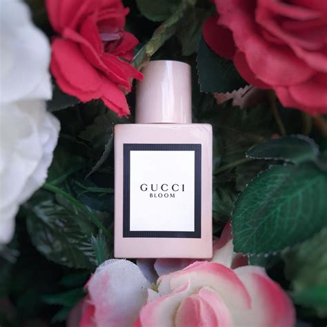 gucci bloom pinalli|Gucci perfume 2017.